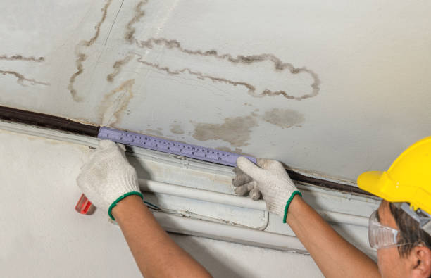 Reliable Water Damage contractor in Mandeville, LA by Water Damage Irwin